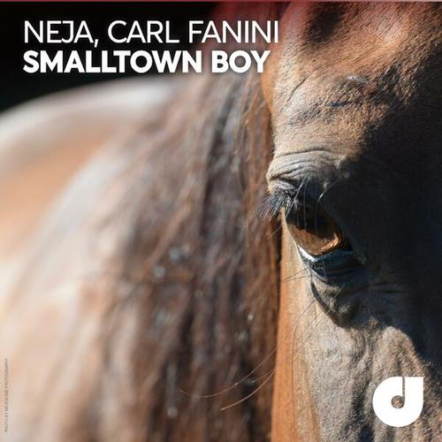 Neja, Carl Fanini-Smalltown Boy