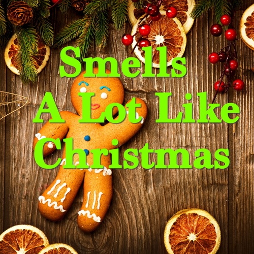 Various Artists-Smells A Lot Like Christmas