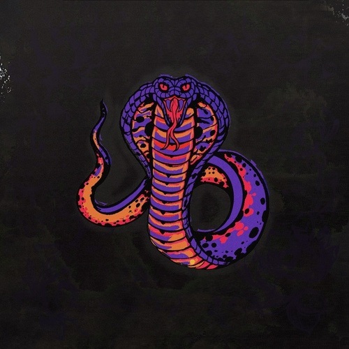 Nikki Nair-Snake EP