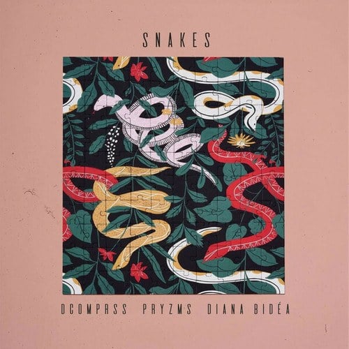 Dcomprss, PRYZMS, Diana Bidea-Snakes