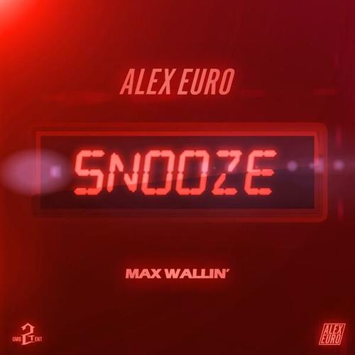 Alex Euro, Max Wallin'-Snooze