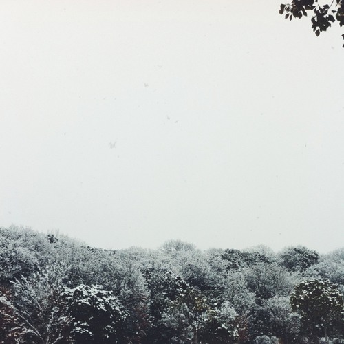 Snow / Silence