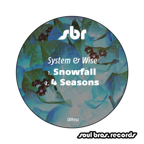 System & Wise-Snowfall / 4 Seasons