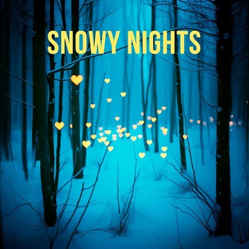 Snowy Nights