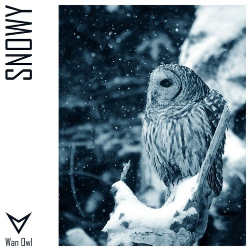 Wan Owl-Snowy