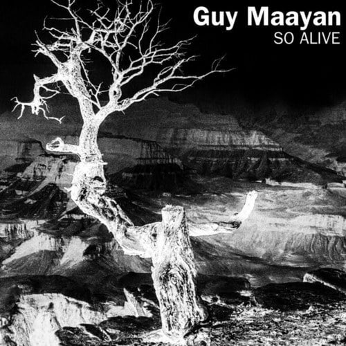 Guy Maayan-So Alive