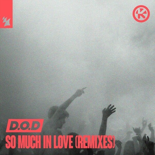 So Much in Love (Remixes)