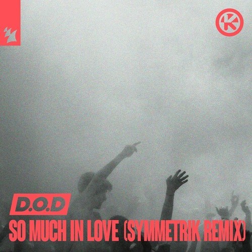So Much in Love (Symmetrik Remix)