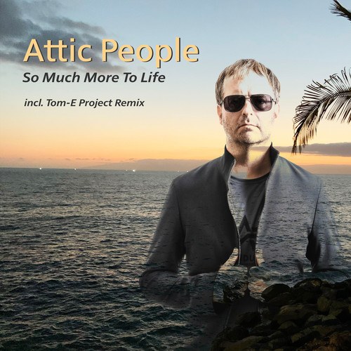 Attic People, Tom-E Project-So Much More to Life