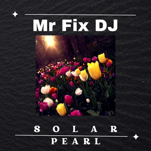 Mr Fix DJ-Solar Pearl