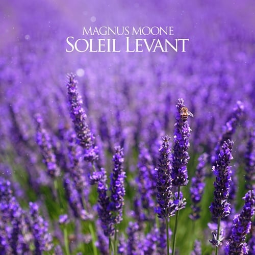 Magnus Moone-Soleil Levant