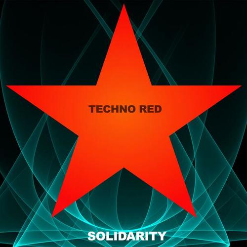 Solidarity