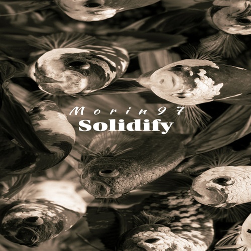 Solidify