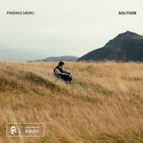 Finding Mero-Solitude