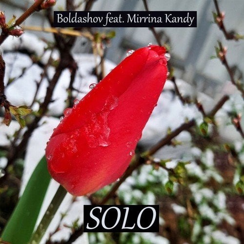 Boldashov, Mirrina Kandy-Solo