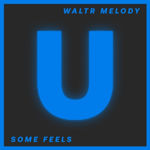 WaltR Melody-Some Feels
