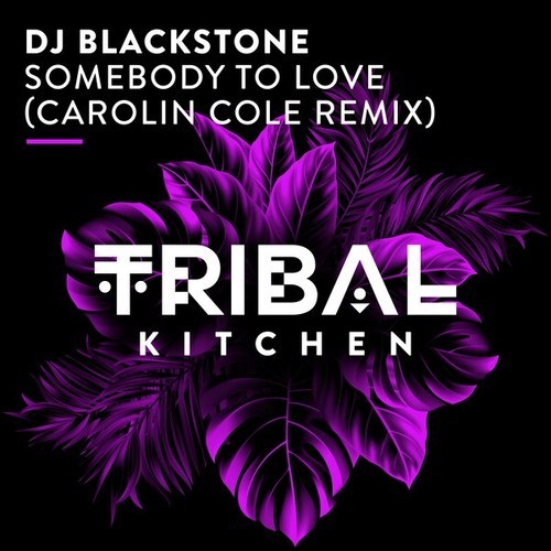 Dj Blackstone, Carolin Cole-Somebody to Love (Carolin Cole Remix)