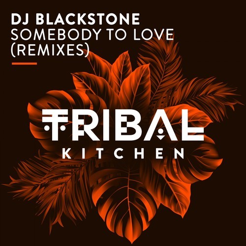 Dj Blackstone, DJ Kone, Marc Palacios, No Hopes-Somebody to Love (Remixes)