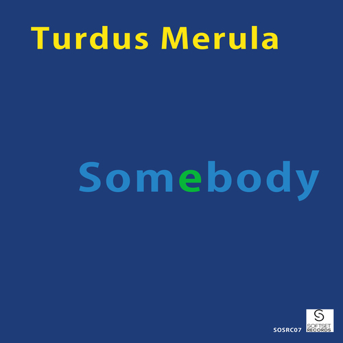 Turdus Merula-Somebody