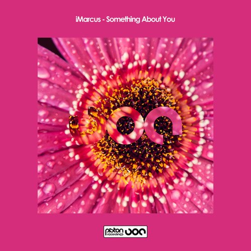 IMarcus, Miguel Palhares-Something About You