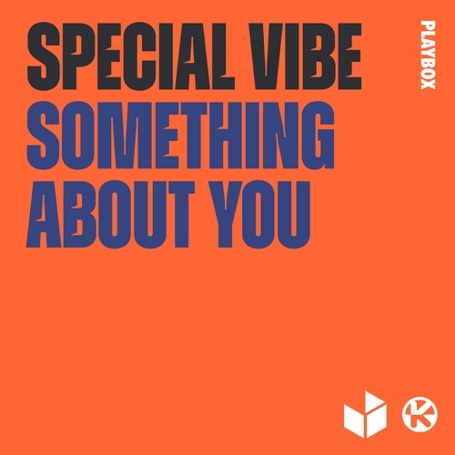 Special Vibe-Something About You