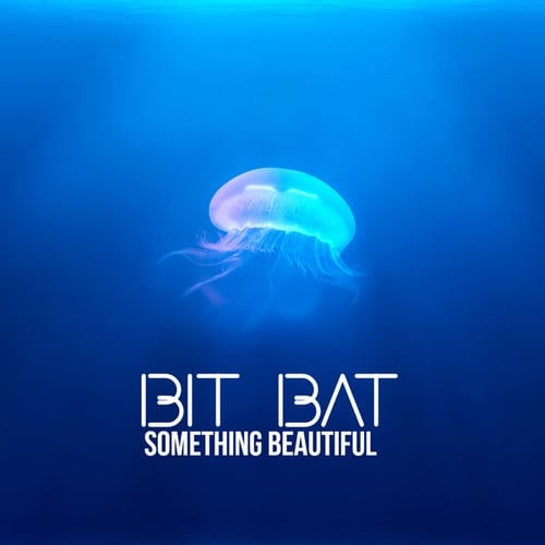 Bit Bat-Something Beautiful