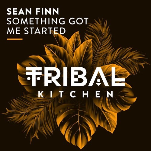 Sean Finn-Something Got Me Started