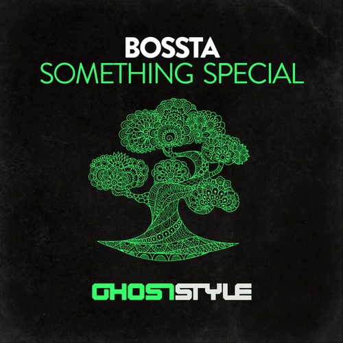 Bossta-Something Special