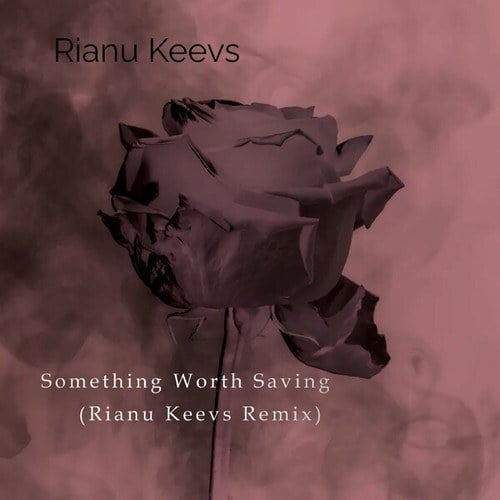 Something Worth Saving (Rianu Keevs Remix)