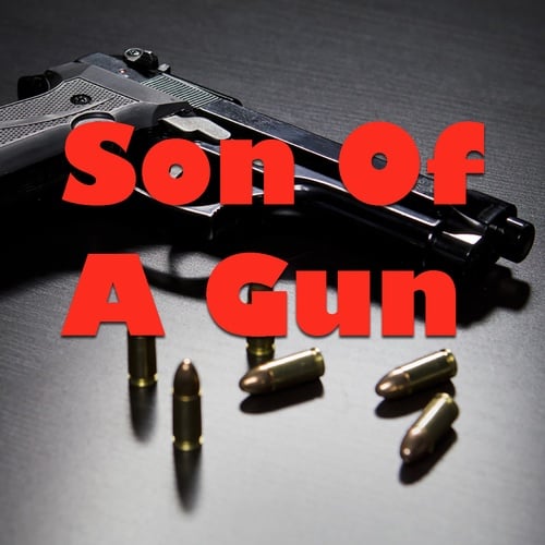 Various Artists-Son Of A Gun