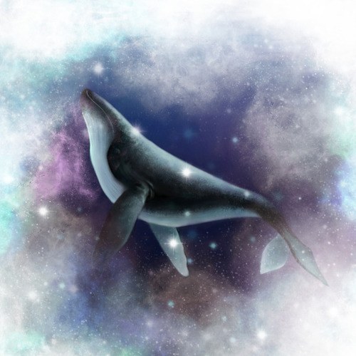 Ev Mugen-Song by whale