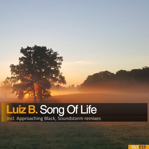 Luiz B, Approaching Black, Soundstorm-Song Of Life