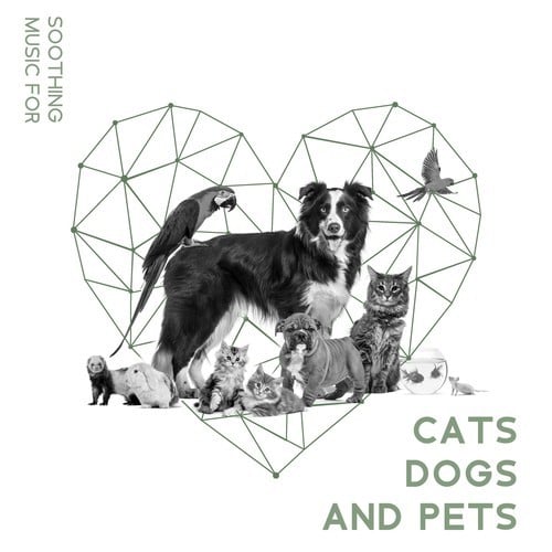 Soothing Music for Cats, Dogs and Pets at Home Alone, Pet & Dog Relaxation