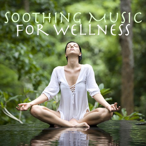 Soothing Music For Wellness