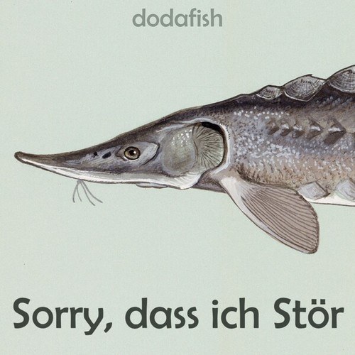 Dodafish-Sorry, Dass Ich Stör