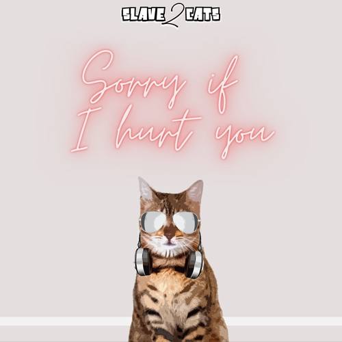 Slave2cats-Sorry If I Hurt You