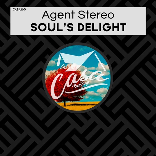 Agent Stereo-Soul's Delight
