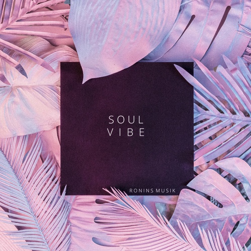 Ronins Musik-Soul Vibe