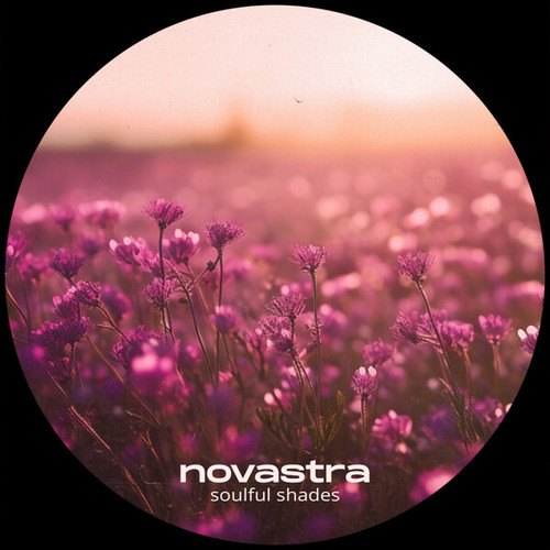 Novastra-soulful shades