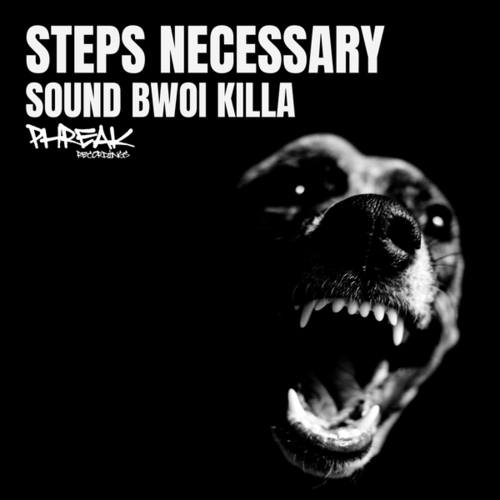 Steps Necessary-Sound Bwoi Killa