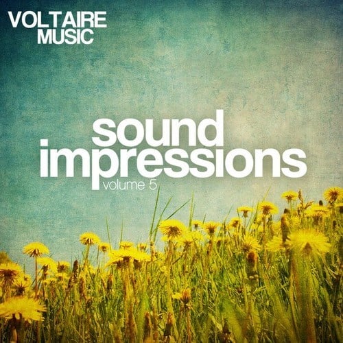 Various Artists-Sound Impressions, Vol. 5