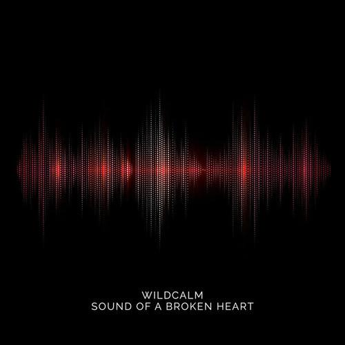 Wildcalm-Sound Of A Broken Heart