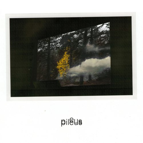 Pileus-Sound Of Hope