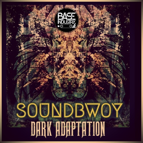 Dark Adaptation-Soundbwoy