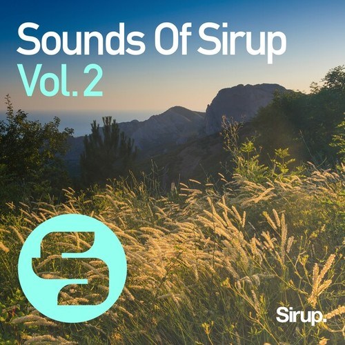 Various Artists-Sounds of Sirup, Vol. 2
