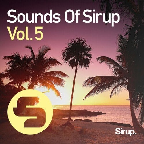 Dj Marlon, DJ Siar, Pressplays, SaintsParis, The Concept-Sounds of Sirup, Vol. 5