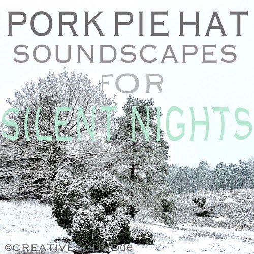 Soundscapes for Silent Nights