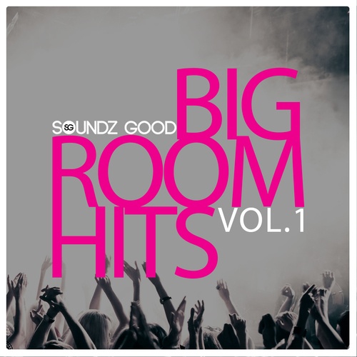 Various Artists-Soundz Good Big Room Hits Vol.1
