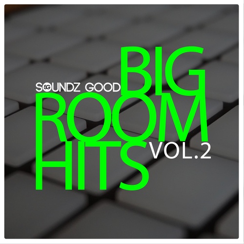 Various Artists-Soundz Good Big Room Hits Vol.2