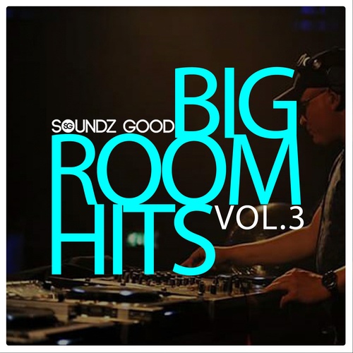 Various Artists-Soundz Good Big Room Hits Vol.3